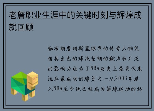 老詹职业生涯中的关键时刻与辉煌成就回顾