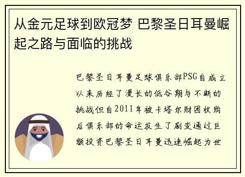 从金元足球到欧冠梦 巴黎圣日耳曼崛起之路与面临的挑战