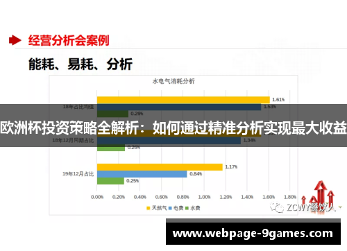 欧洲杯投资策略全解析：如何通过精准分析实现最大收益