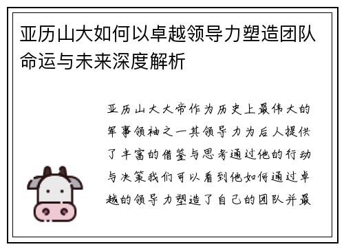 亚历山大如何以卓越领导力塑造团队命运与未来深度解析
