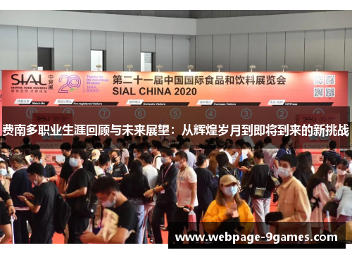 费南多职业生涯回顾与未来展望:从辉煌岁月到即将到来的新挑战