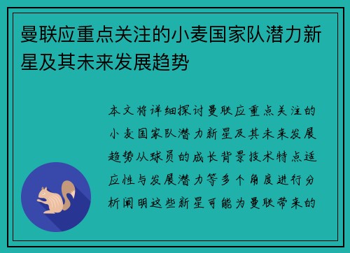 曼联应重点关注的小麦国家队潜力新星及其未来发展趋势